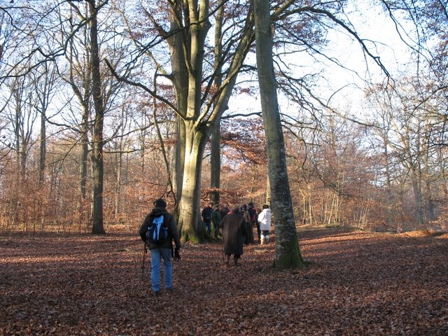 2007 11 Etangs de Hollande 19